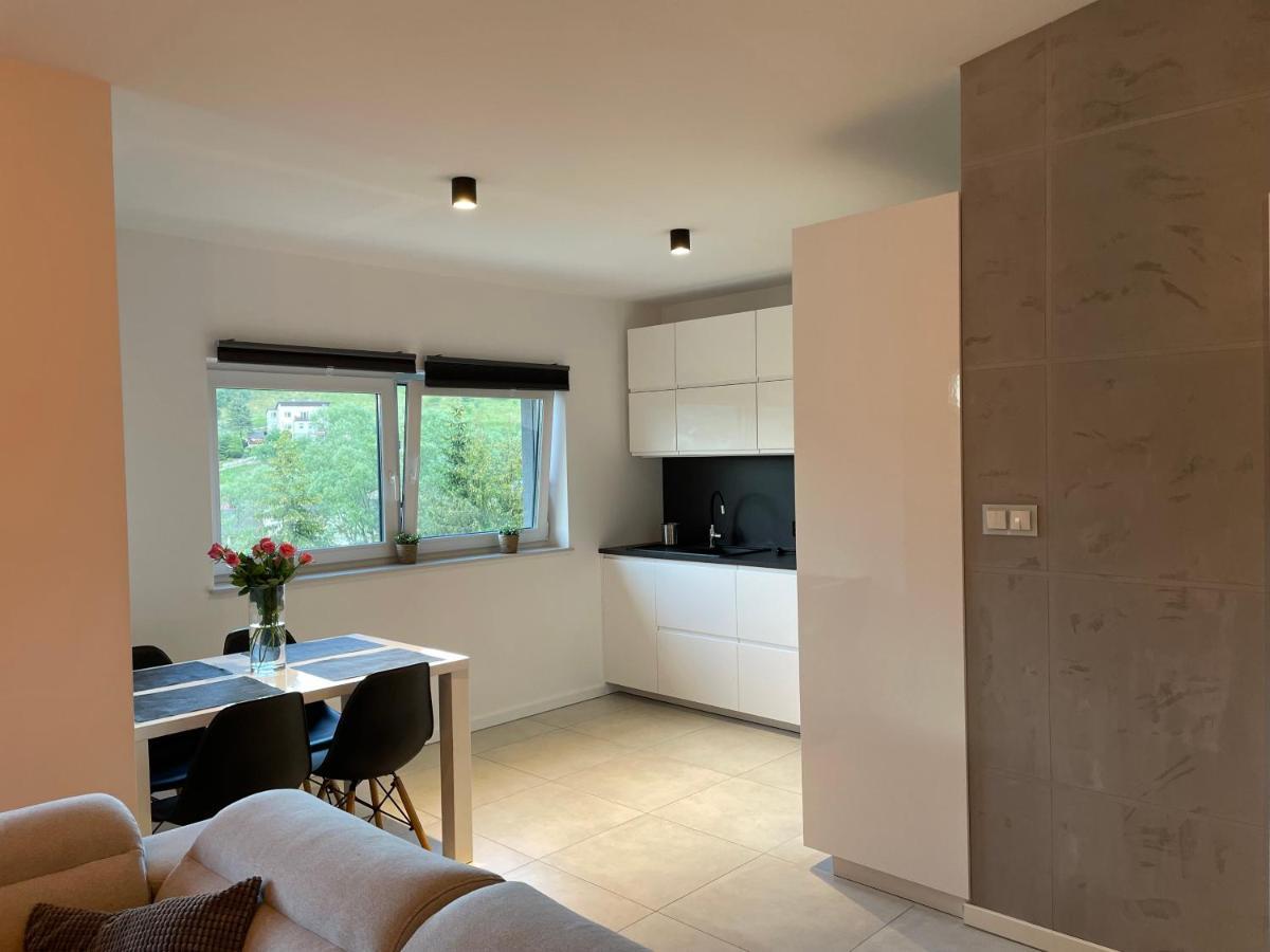 Apartament Z Klimatem II Wisła Buitenkant foto